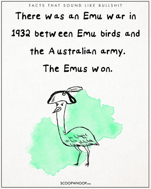 原來有這種事！22 個聽起來很扯的有趣事實