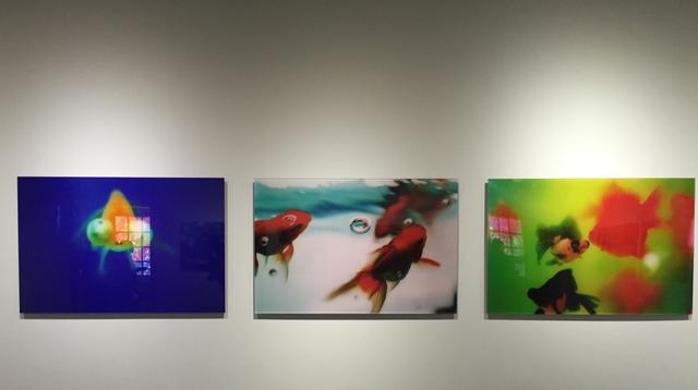 【觀展心得】惡女其實有顆溫柔的心 - 蜷川實花華麗至極，絢爛奪目的影像世界