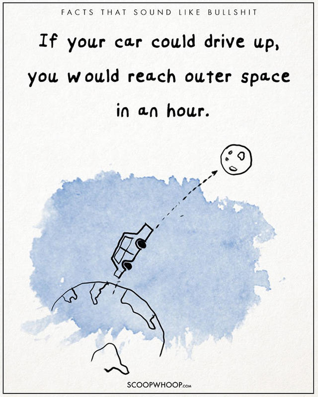 原來有這種事！22 個聽起來很扯的有趣事實