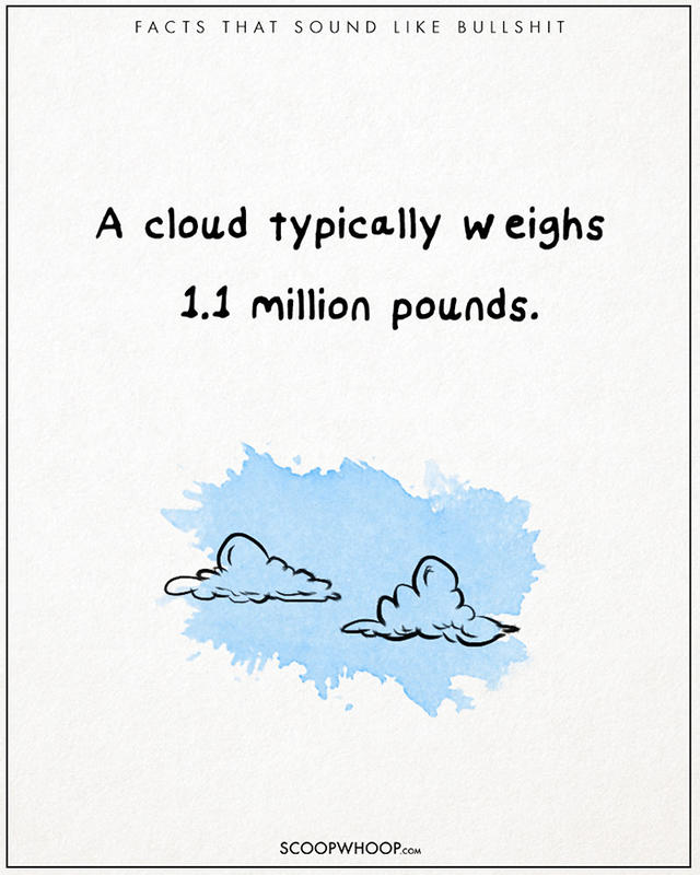 原來有這種事！22 個聽起來很扯的有趣事實