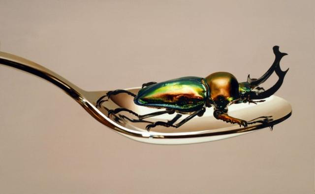 超越攝影境界的超現實風動物繪畫〈Nothing.Life.Object〉