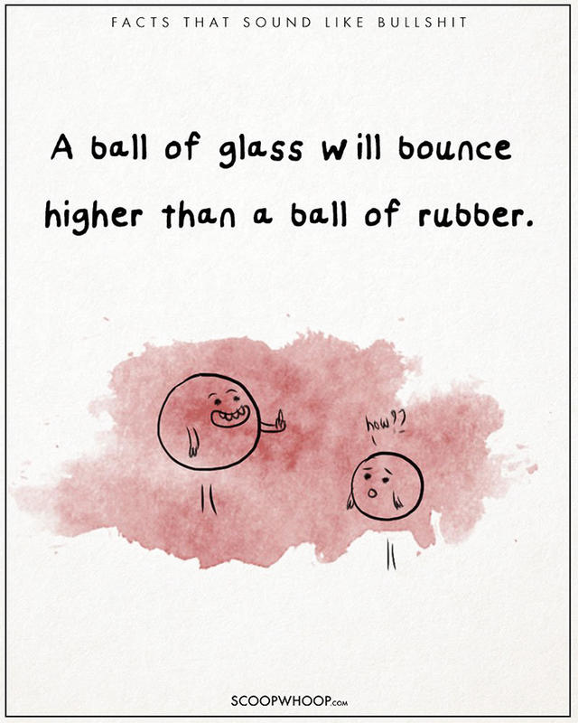 原來有這種事！22 個聽起來很扯的有趣事實