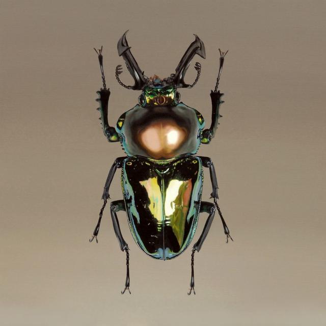 超越攝影境界的超現實風動物繪畫〈Nothing.Life.Object〉