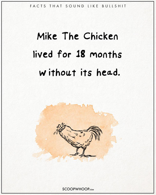 原來有這種事！22 個聽起來很扯的有趣事實