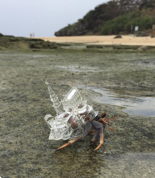 3D列印寄居蟹殼正式上路，將水晶婚禮教堂殼揹著趴趴走！