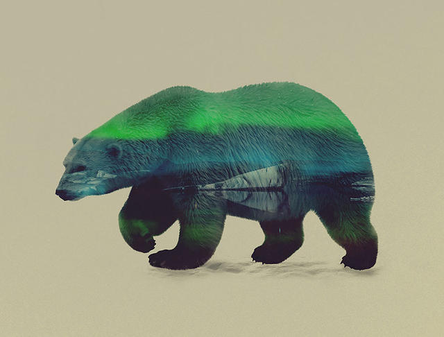 野生動物與牠們居住的那片森林，重複曝光的自然之美