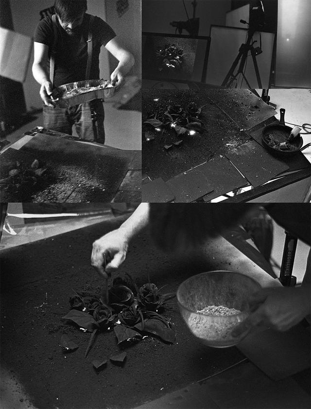 燃燒殆盡前的耀眼身影,悶燃玫瑰攝影《The Ash 灰燼》