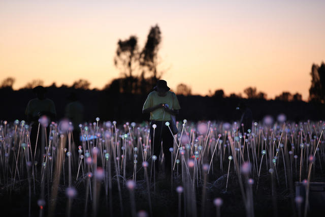 閃耀於澳洲心臟的光之原野，Bruce Munro 的 Field of Light