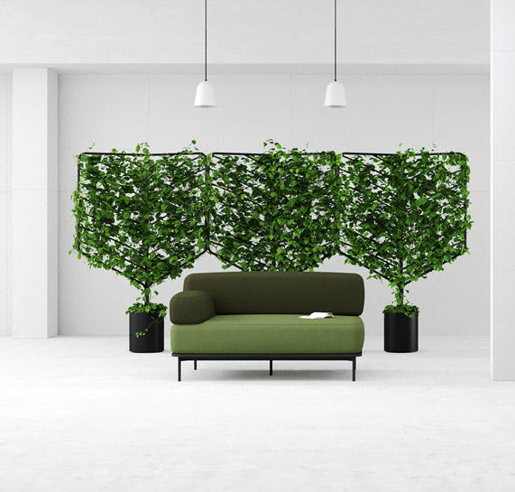 支架盆栽botanical planter，讓藤蔓植物轉化為有機屏風| 大人物- 90607