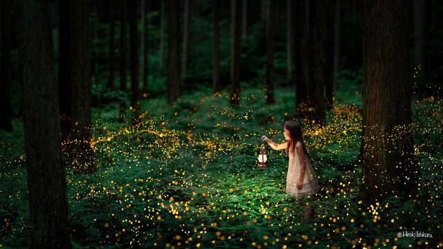 迷幻如電影場景，攝影師與女兒的螢火蟲夏夜紀實