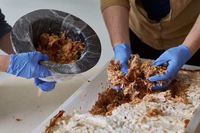 蘑菇+柳木纖維做成的家具，打造真‧森林系居家氣氛