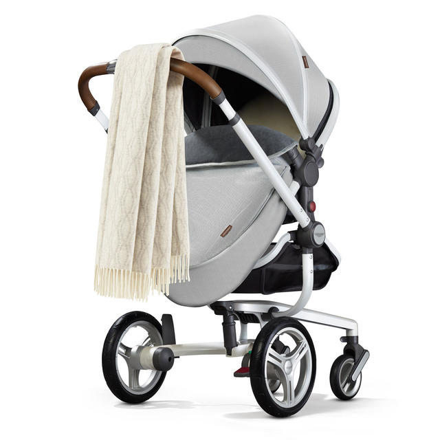 從小就以名車代步？Aston Martin 聯名款精品嬰兒車