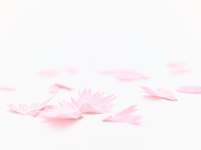 削出美麗櫻花花瓣 日本trinus 花色鉛筆 讓書寫有如賞花 大人物 074