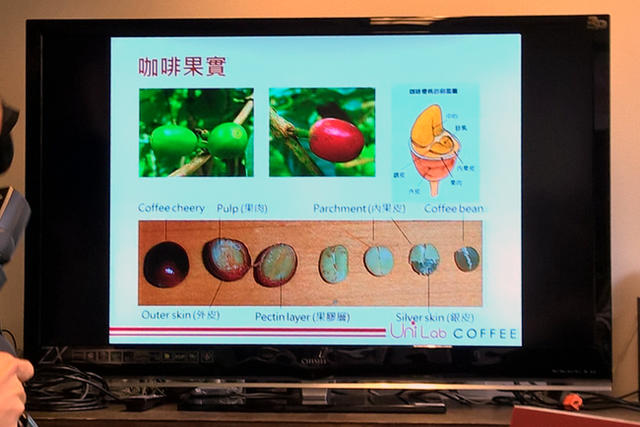 專業咖啡是這樣玩滴~Uni Lab COFFEE 體驗品鑑咖啡豆課程