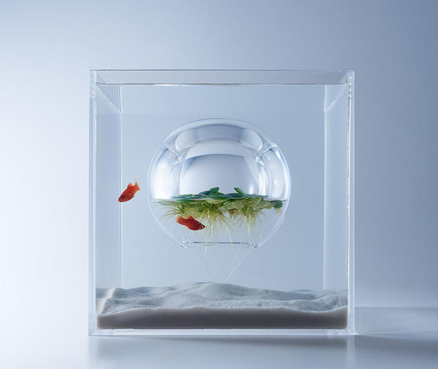 魚才是主角！用3D列印將魚缸造景回歸單純的平衡
