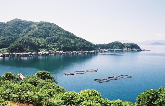 京都秘境一生必訪：有「日本威尼斯」之稱的絕美伊根小漁村！