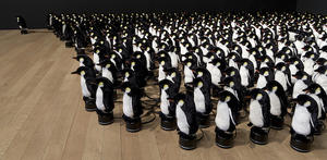 《Penguins Mirror》企鵝的波浪舞與華麗轉身