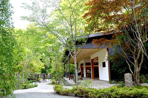 日本春季之旅，你選什麼路線！？打卡美照信手拈來的咖啡廳推薦