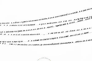 復仇的樂章！驚悚的東京黑鳥六線譜