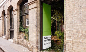 可以住進 2017 年度色票裡了！Airbnb X Pantone 聯名邀請大家入住青草綠套房！