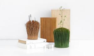 雜草變身美感文具！印度「Ouside／Inside」隨四季變色的松針葉自然系設計文具