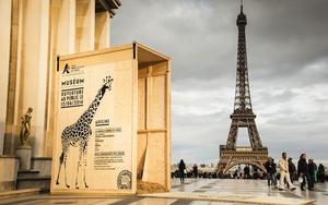 【廣告創意】動物來了！吸睛裝置藝術