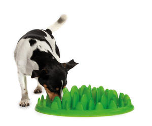 綠色草皮狗食盤，讓狗狗不由自主的開始慢食