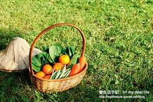 自種自吃～頂樓小菜園的6種好選擇