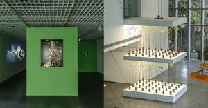 北師美術館《酷共生》展覽亮點！11組跨領域創作探討跨越物種的依存關係