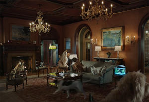 如果人類跟寵物交換靈魂？美國Petco趣味「換位思考」寵物飼料廣告