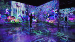 teamLab 最新常設展位於九州福岡！在 teamLab Forest 魔幻森林裡踩蘑菇、與動物漫步