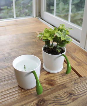 你一口，我一口，植物才能活的長長久久-You & I 馬克杯盆栽組