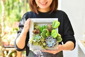 植栽系母親節禮物推薦！有肉推畫框多肉植物、絕美多肉花束