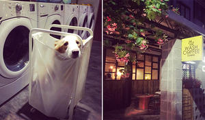 洗衣服還剩 40 分鐘？來亞洲首間洗衣咖啡館 Wash Coffee 邊洗衣服邊喝咖啡吧！