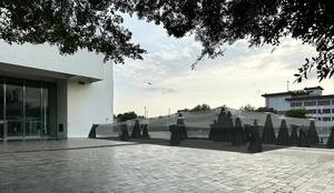 2024北美館X-site計畫《林木林》！感想工作室打造如森林經驗般的自由建築