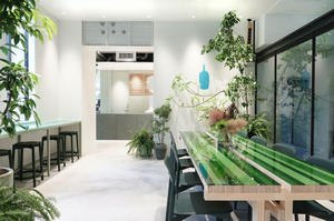 Blue Bottle 藍瓶咖啡京都三號店！木屋町店綠意妝點，純白百年小學校舍飄咖啡香