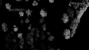 縮時攝影與化學反應的美妙火花 Beautiful Chemistry