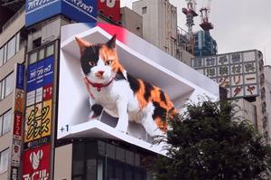 東京「新宿東口貓」3D巨大三花貓！逼真影像如巨型貓星人降臨
