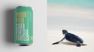 靠一罐蘋果酒拯救海龜？瞧瞧社企 Proud Pour 推出的《Cider for Sea Turtles》集資計畫