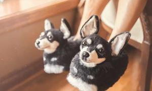 你才捨不得穿勒～找 Cuddle Clones 訂做一雙超級擬真寵物拖鞋