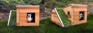 融入綠色建築概念，降溫消暑還兼互動玩樂的綠屋頂「Doggy Dreamhouse」