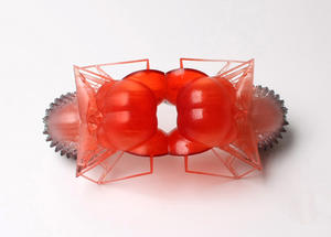 將恐懼幻化成美麗飾品，蟲蟲 3D 列印珠寶設計