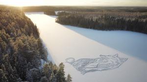 浪漫雪地狐狸畫！芬蘭藝術家Pasi Widgren用白雪畫下冰湖巨幅地景創作