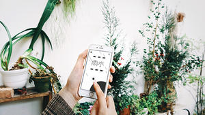 節氣時光 APP：用節氣感知屬於大自然的時間