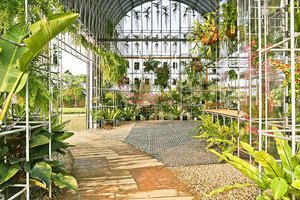 建築系溫室「蕨知院」＋藝術「蕈光戲台」＝鼓勵好室 Green House！2018 桃園農業博覽會文創味顛覆以往！