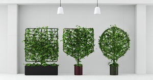支架盆栽botanical planter，讓藤蔓植物轉化為有機屏風