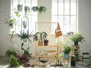 IKEA DAKSJUS園藝系列登場！10款植物美學單品打造家中療癒綠色植栽空間