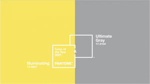 Pantone 2021年度代表色「亮麗黃、極致灰」！如暖陽與陰影並行，鼓舞人心又持久耐看