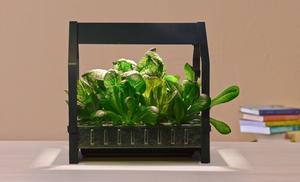 IKEA推出水耕菜套件組，體驗當個北歐居家小農的樂趣