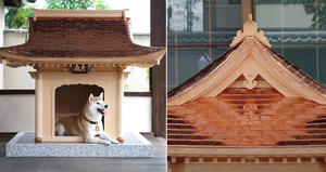 拜見犬殿下！「犬殿」設計狗屋融合日本傳統神社和寺廟建築工藝